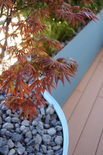 20150407_solferino23_P9_T4_13.jpg